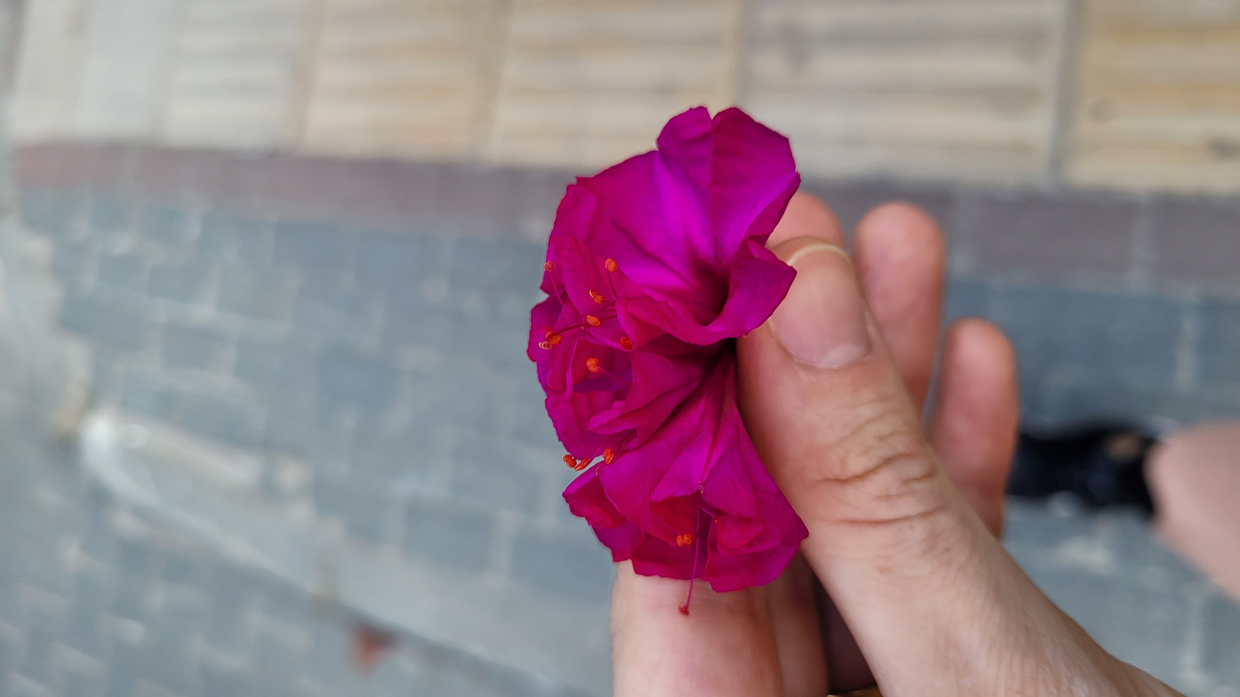 Kelam ağırlıktan, muhabbet incelikten hoşlanır...