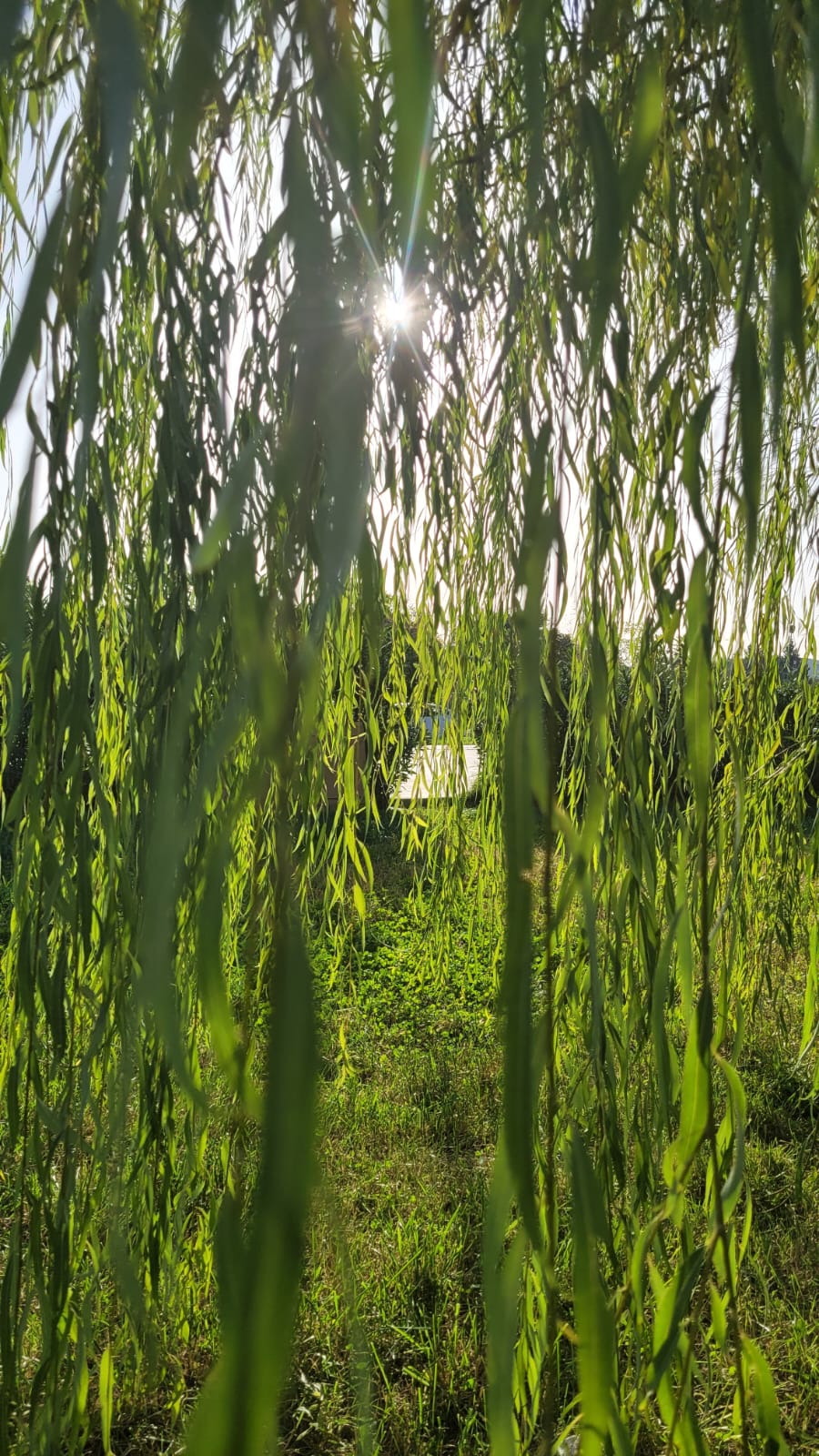 LÜTUF